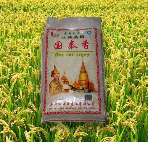 怎么防止大米生虫？